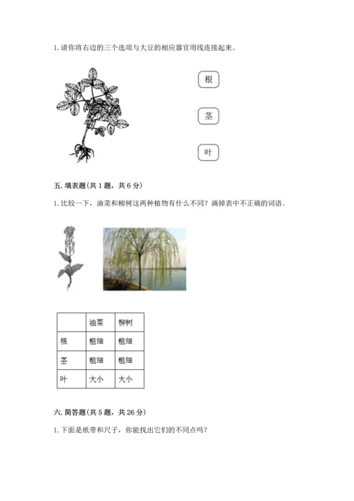 教科版一年级上册科学期末测试卷附参考答案【研优卷】.docx