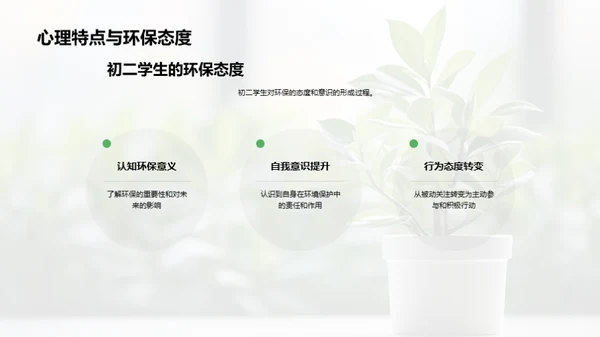 中学环保实践策略