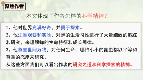 21《蝉》课件