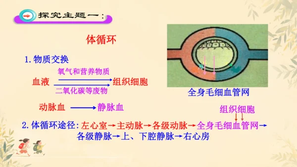 初中生物学>人教版（新课程标准）七年级下册4.4.3 输送血液的泵──心脏课件(共23张PPT)