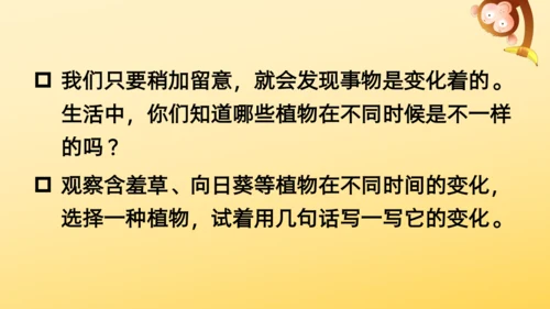 16 金色的草地  课件