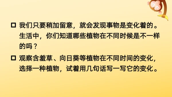 16 金色的草地  课件