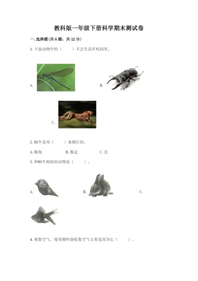 教科版一年级下册科学期末测试卷含答案（巩固）.docx