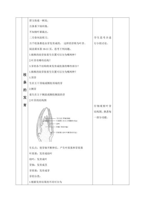 【大单元教学】人教版（2024）生物七下 3.1.2植株的生长（第一课时）教学设计
