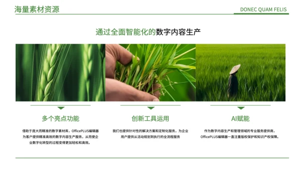绿色简约风现代农业发展PPT