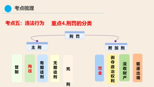 八上道德与法治第二单元《遵守社会规则》复习课件