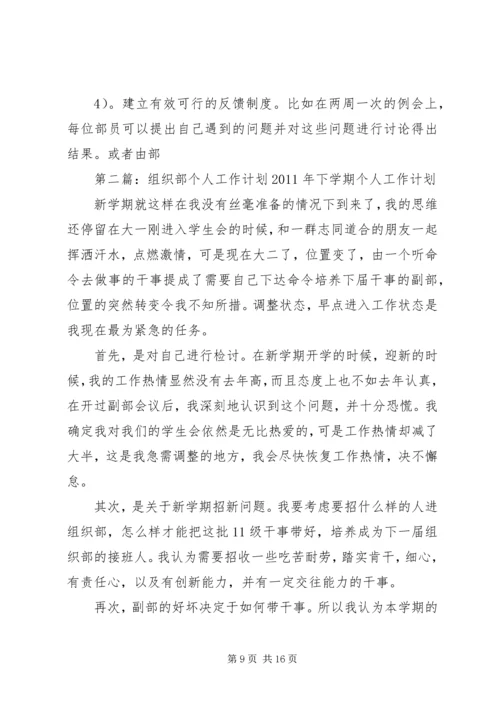 组织部个人工作计划.docx