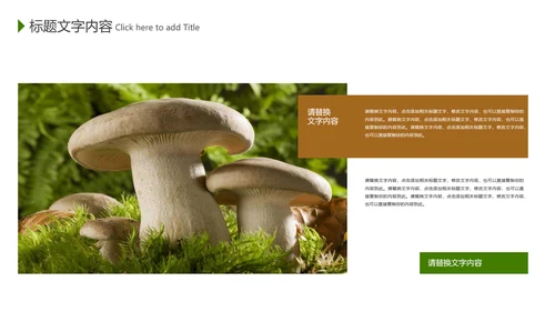 野生蘑菇菌类养生文化宣传动态PPT模板