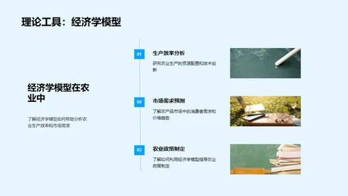 农业经济学透析