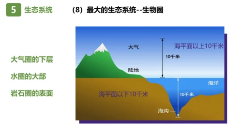 七上第一单元 生物和生物圈复习课件(共26张PPT)