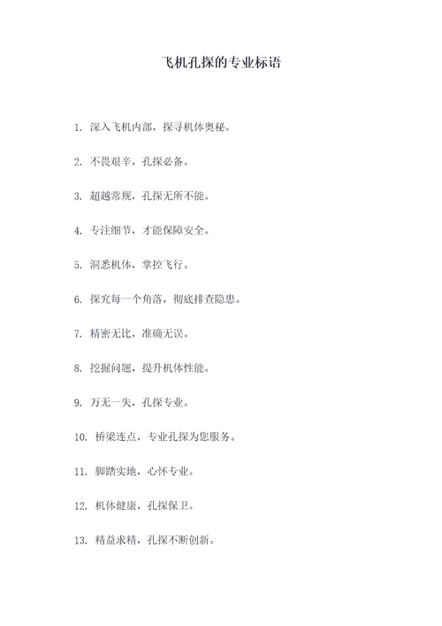 飞机孔探的专业标语