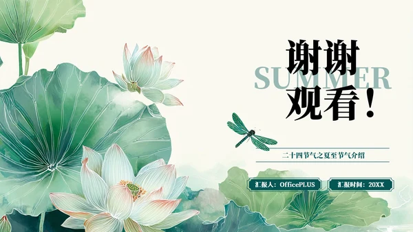 绿色简约二十四节气之夏至PPT模板