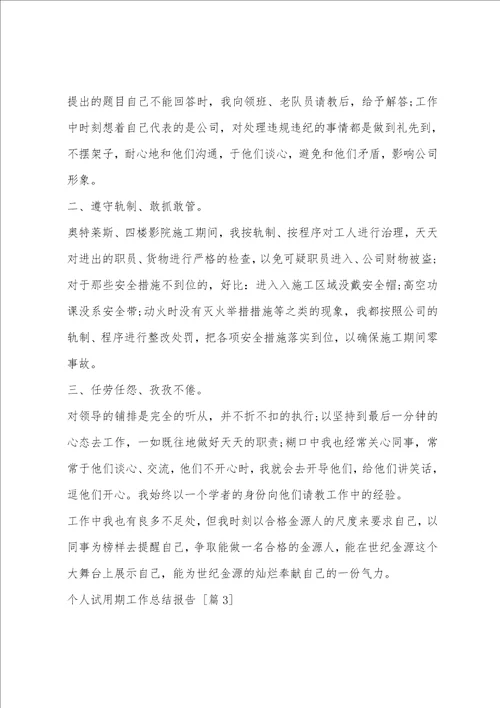 个人试用期工作总结报告