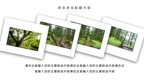 环境保护生态森林森业PPT动态模板