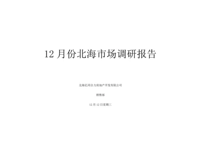 北海市场调研综合报告.docx