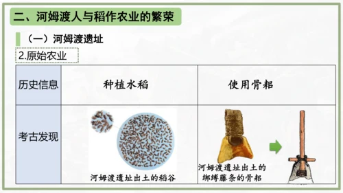 第2课 原始农业与史前社会 课件 统编版七年级历史上学期