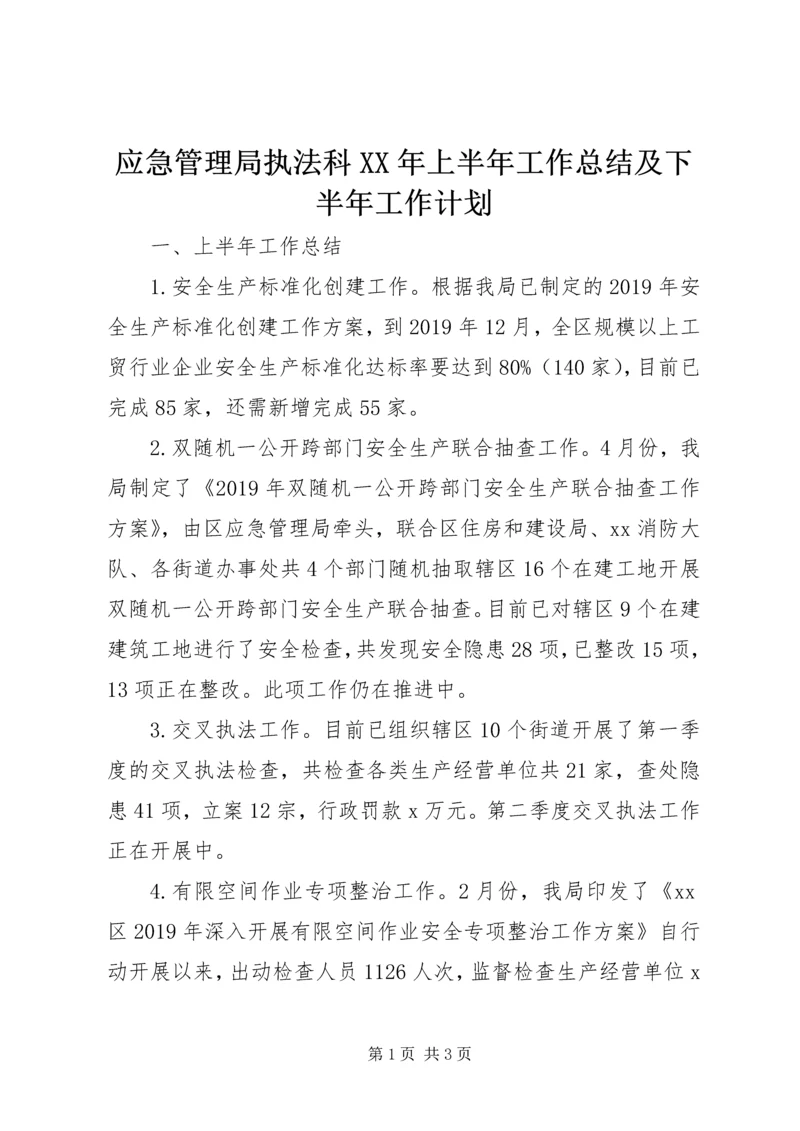 应急管理局执法科XX年上半年工作总结及下半年工作计划.docx