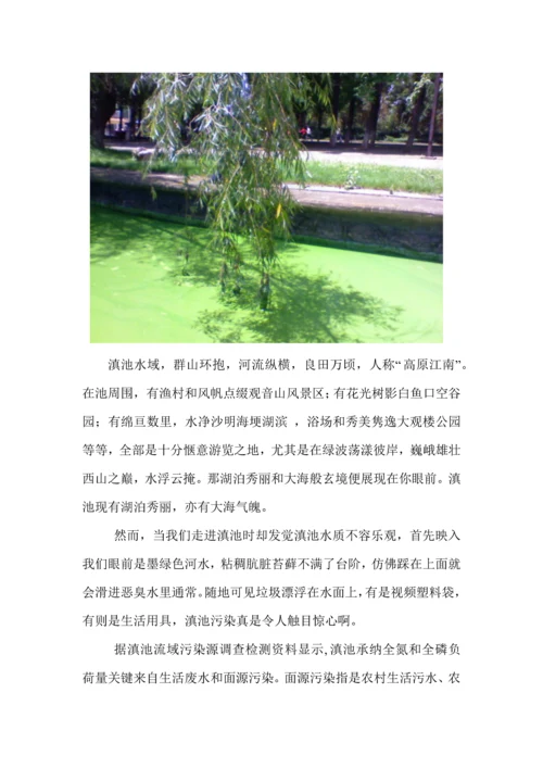 滇池污染调查分析报告.docx