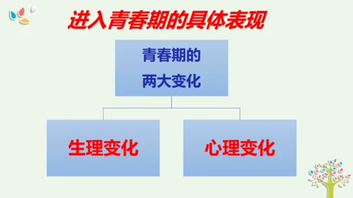 第一课青春的邀约 复习课件 (共33张PPT)