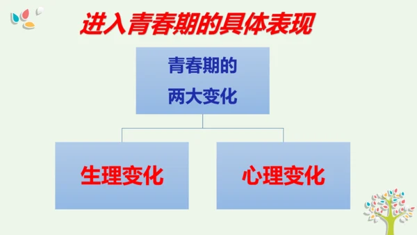 第一课青春的邀约 复习课件 (共33张PPT)