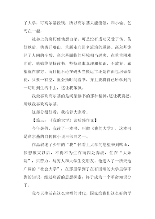 我的大学读后感300字.docx