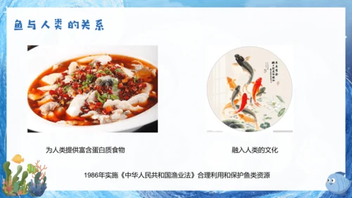 人教版生物七年级上册2.2.2《脊椎动物》课件(共22张PPT)+视频素材