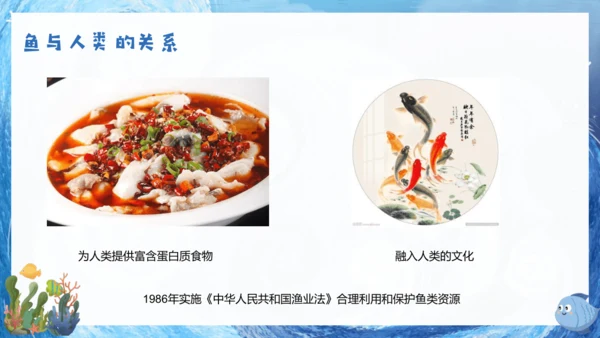 人教版生物七年级上册2.2.2《脊椎动物》课件(共22张PPT)+视频素材