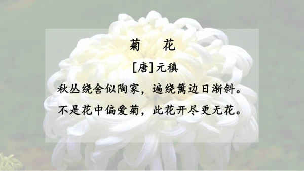【同步课件】部编版语文三年级上册  4.古诗三首《山行》《赠刘景文》《夜书所见》   课件（3课时）