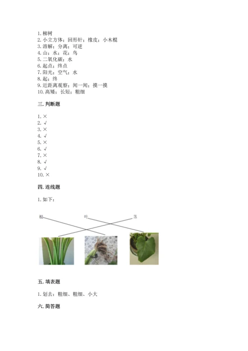 教科版小学一年级上册科学期末测试卷附参考答案（预热题）.docx