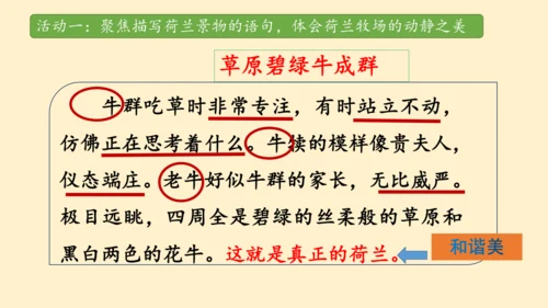19牧场之国（课件）