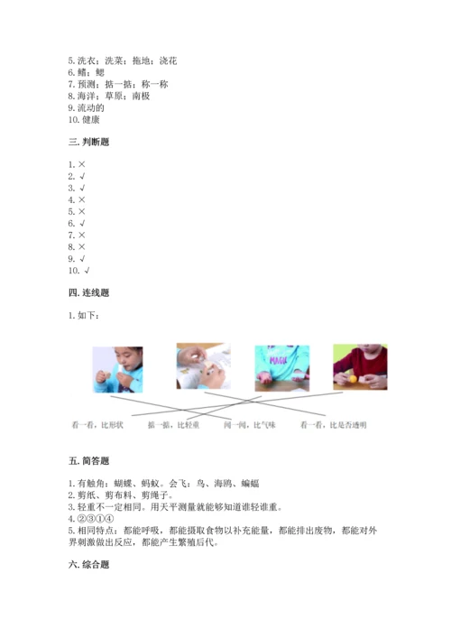 教科版一年级下册科学期末测试卷精品（网校专用）.docx