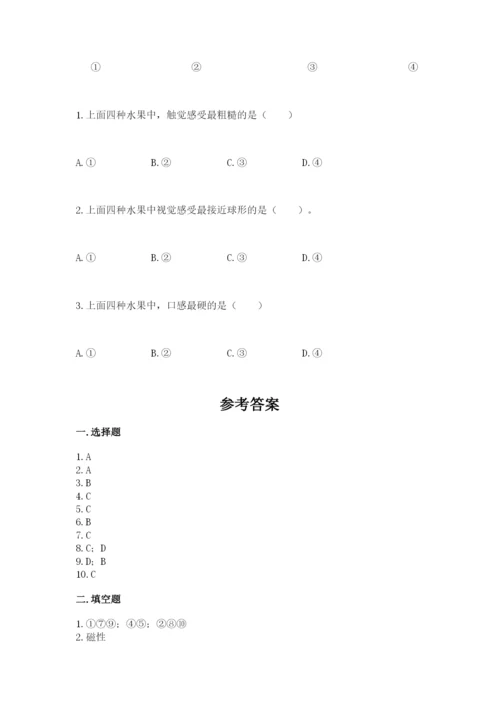 教科版小学科学二年级下册期末测试卷附答案【轻巧夺冠】.docx
