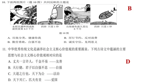 第三单元文明与家园复习课件(共23张PPT)