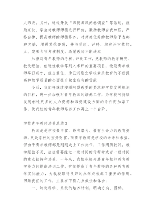 学校青年教师培养总结_2.docx