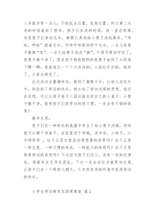 小学生劳动教育实践课教案.docx