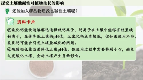 跨学科实践活动9  探究土壤酸碱性对植物生长的影响课件(共33张PPT)