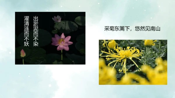 第18课 紫藤萝瀑布 课件(共27张PPT)