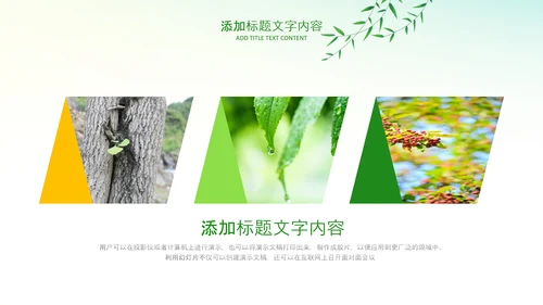绿色小清新植树节植树造林环保PPT模板