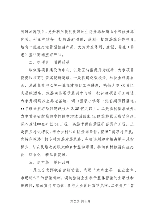 旅游局工作计划 (5).docx