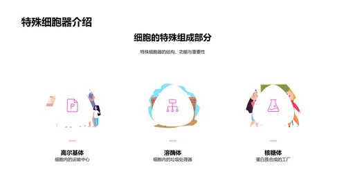 细胞探秘报告PPT模板