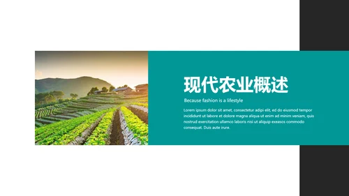 绿色农产品瓜果蔬菜农业主题通用PPT模板
