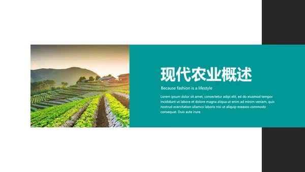 绿色农产品瓜果蔬菜农业主题通用PPT模板