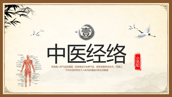 棕色复古中医经络养生PPT模板宣传PPT动态PPT