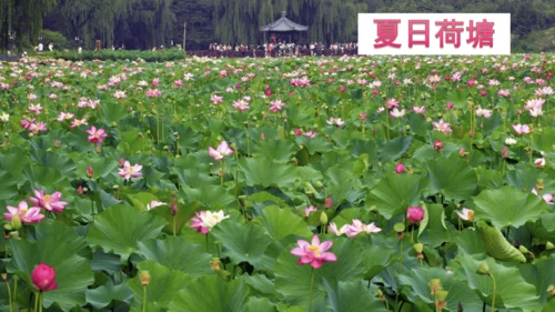 15 《古诗二首》（第一课时）——《晓出净慈寺送林子方》  课件