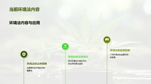 探索环境法之路