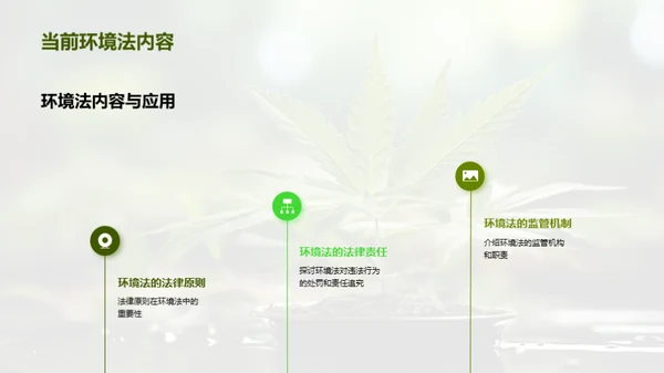 探索环境法之路