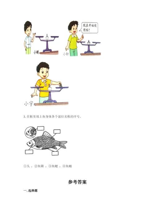 教科版小学科学一年级下册期末测试卷（达标题）.docx