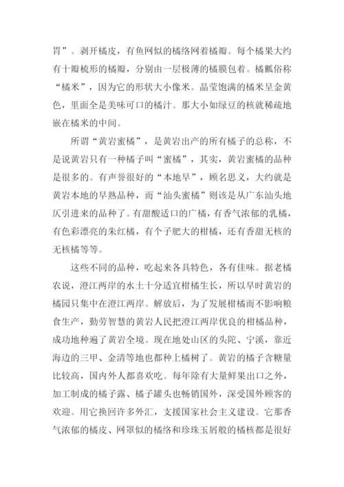 黄岩蜜桔作文.docx