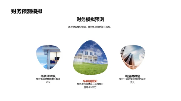 新项目投资展望
