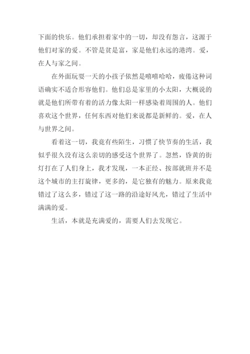 发现爱作文800字.docx